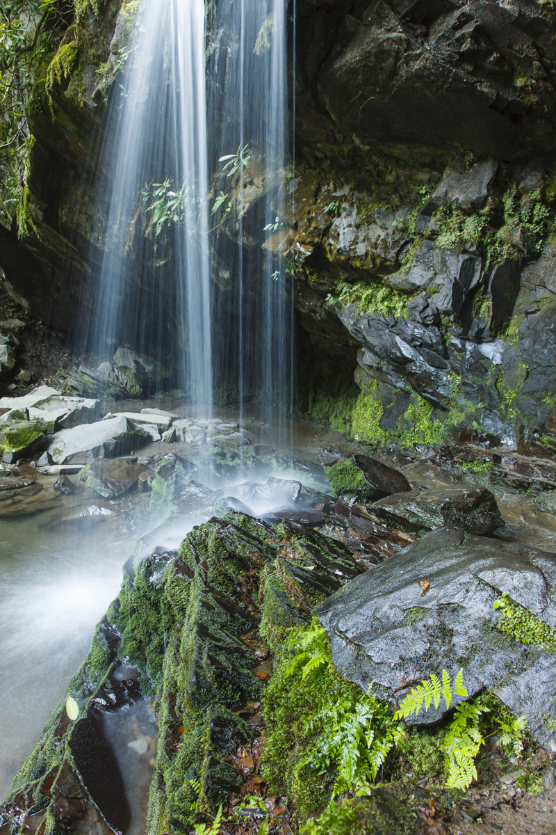 © Robert Rodriguez Jr