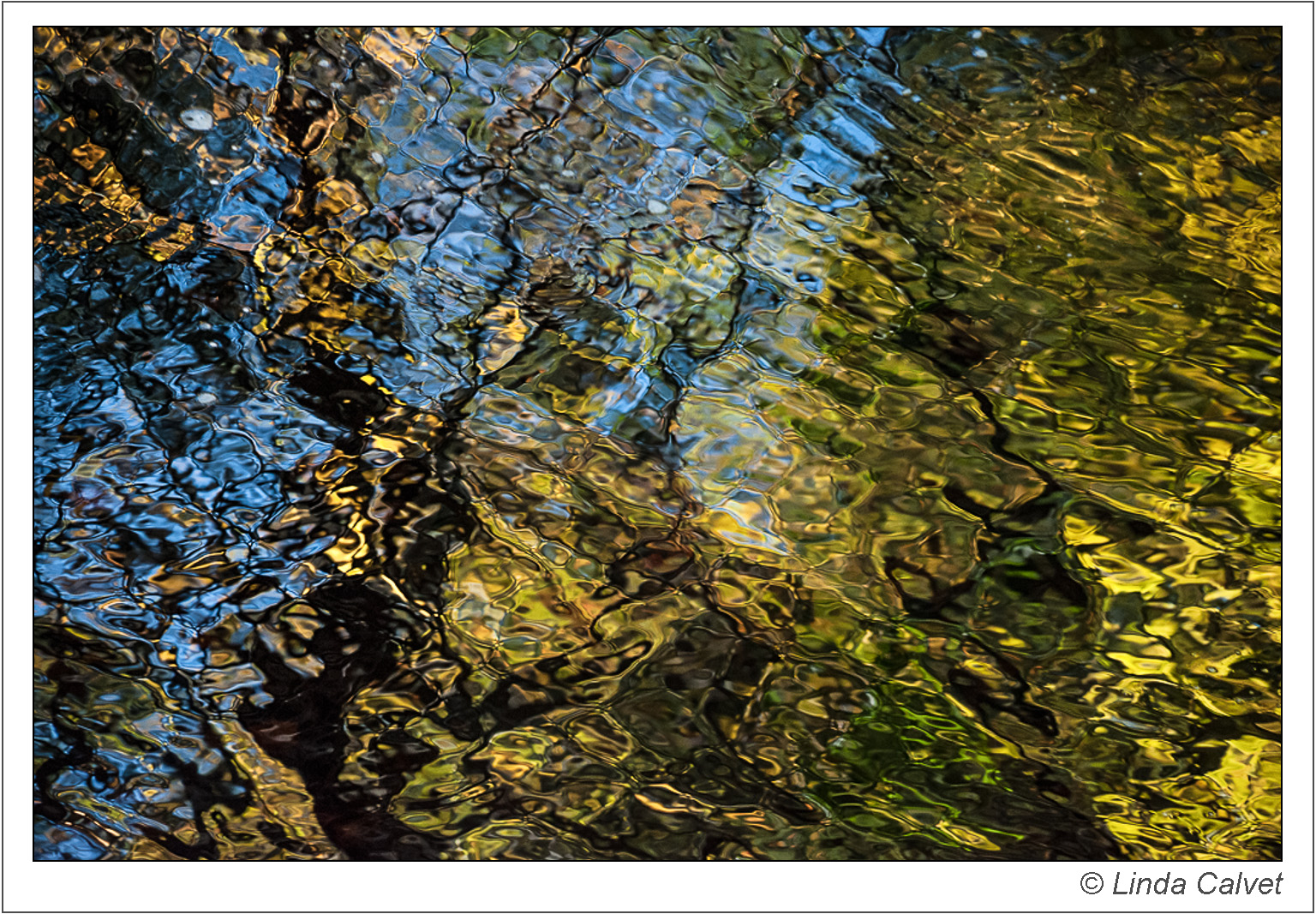 Reflections in Bushkill Creek