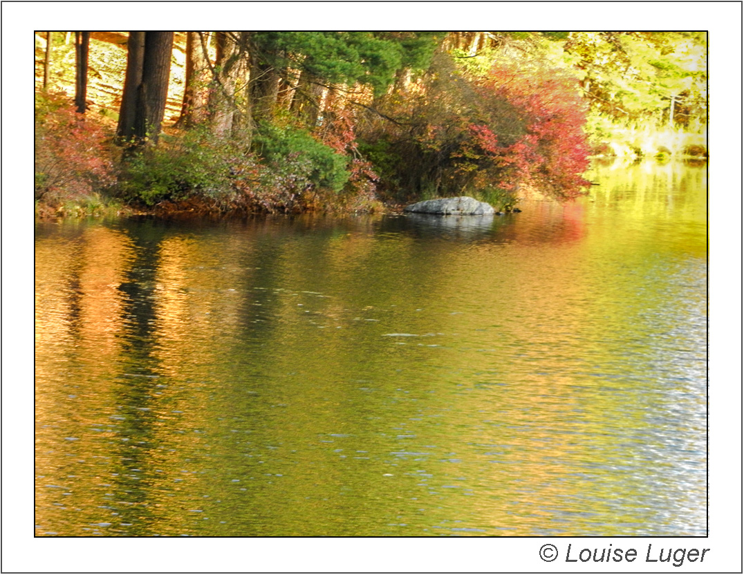 Yellow autumn folige reflected in Lake Nawahunta