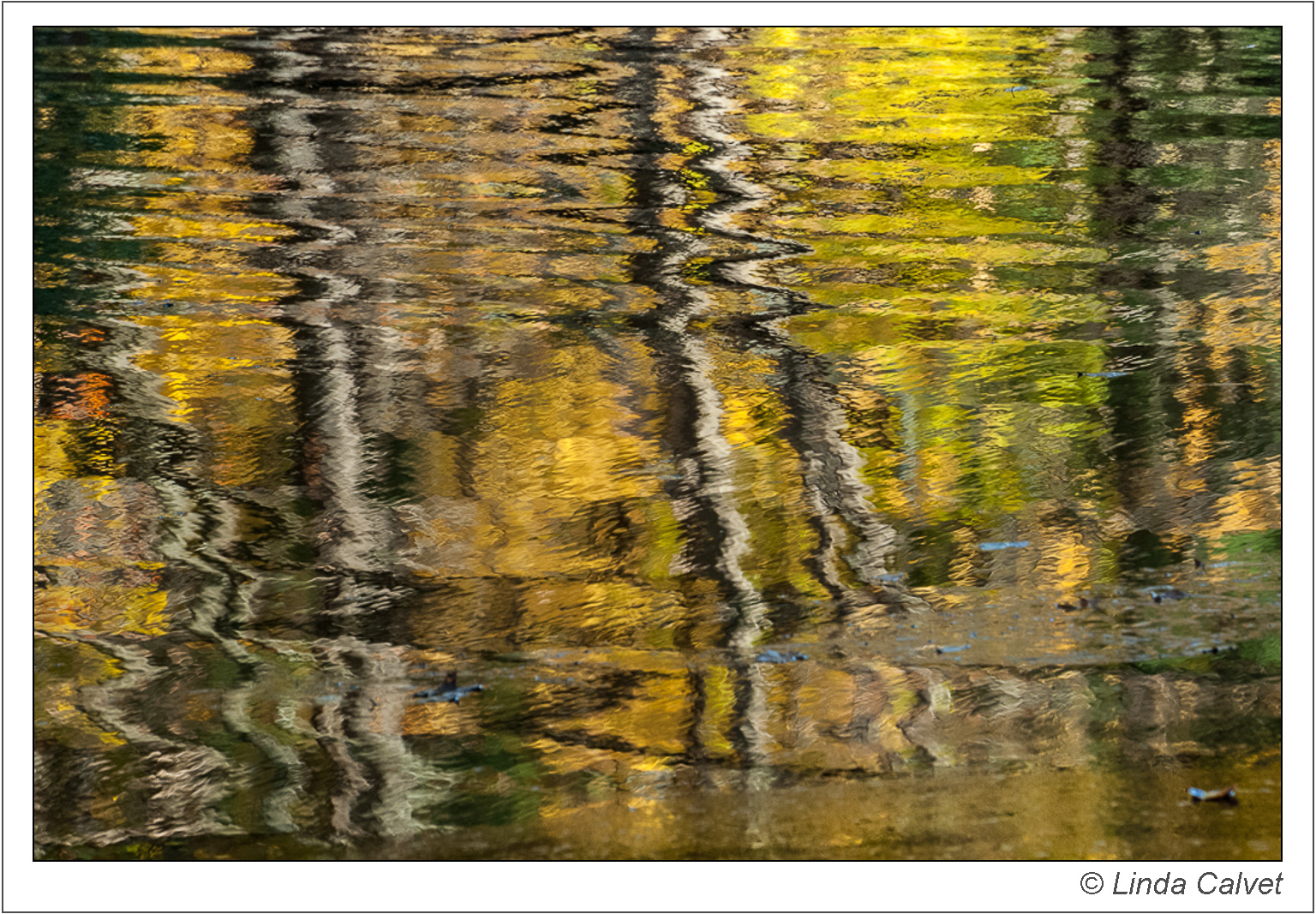 Autumn reflections rippling in Lake Nawahunta
