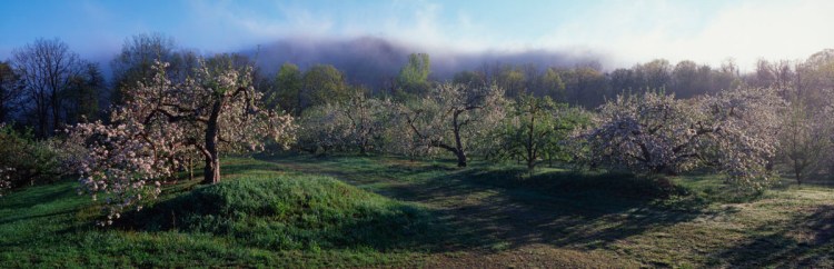 © Frederick Charles