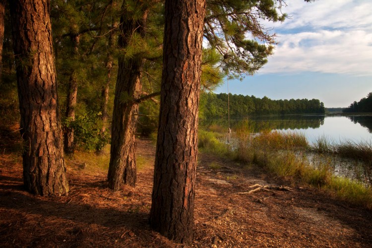 Harrisville Pond © Larry Zink
