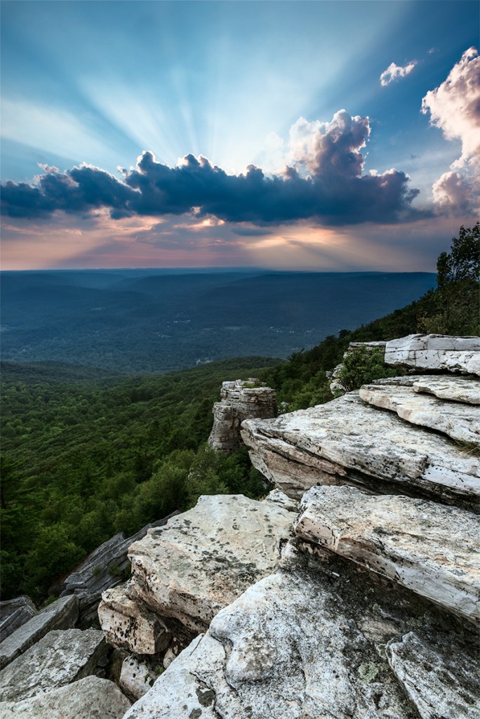 Photograph, © Greg Miller, Sunburst, Bear Hill Nature Preserve, Cragsmoor, NY