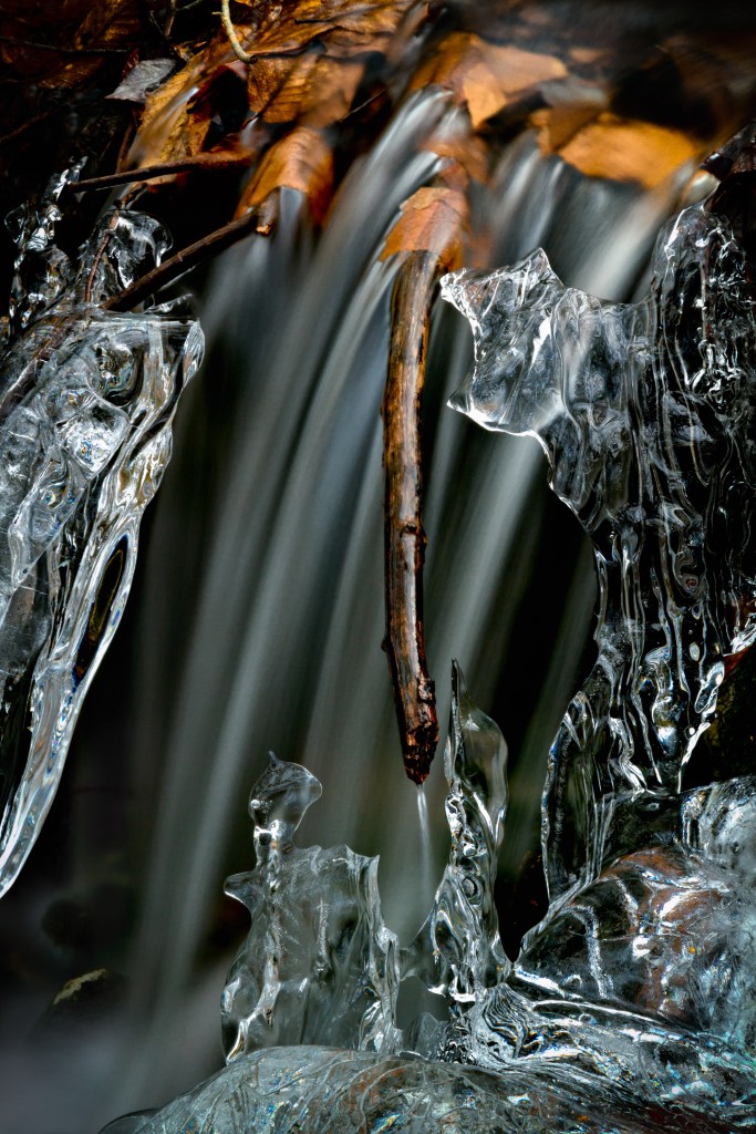 Color photo of water, ice and fall leaves Ice Water #1 © Sharron Lee Crocker