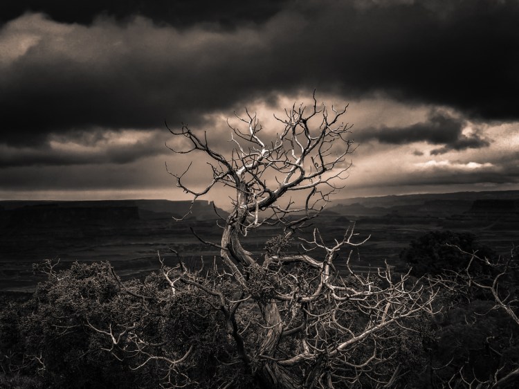 Blacl and white landscape photograph © Clifford Pickett