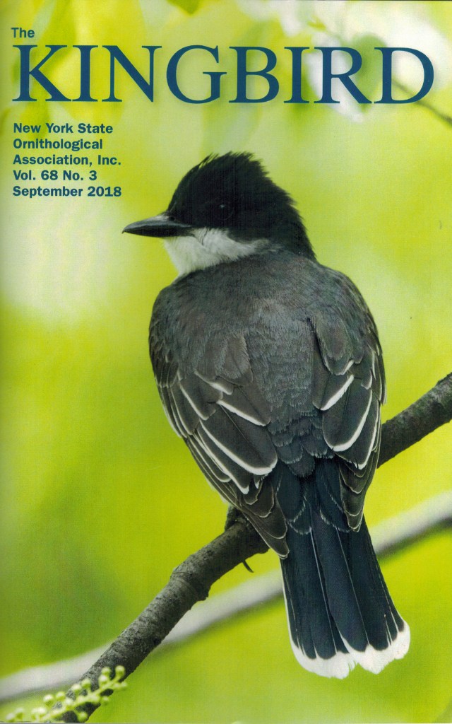 Kingbird Cover Sept. 2018-Peter Post