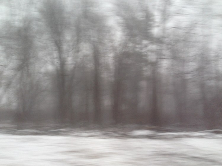 Roadside, Massachusetts, Winter © Anne Chamberlain