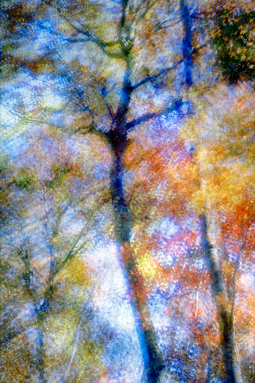 Autumn trees – Multi-exposure © John Wazeter