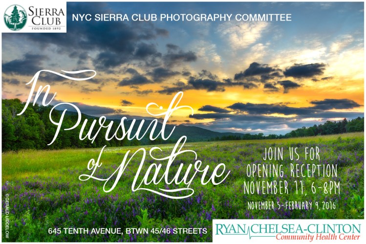 The Pursuit of Nature and Urban Nature, both at the Ryan Chelsea-Clinton Community Health Center in NYC (2016)