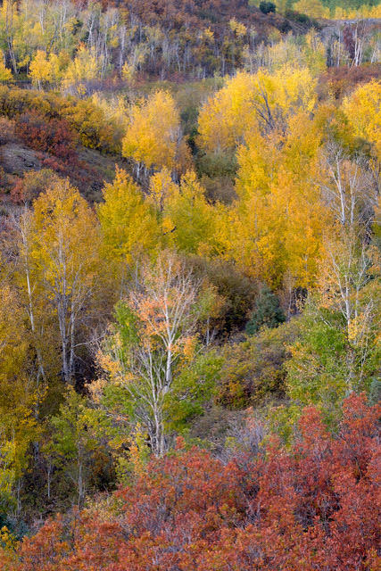 © John Barclay, Fall in the Dallas Divide Colorado