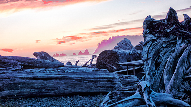 © Ruth Formanek, Rialto, Olympic National Park, WA