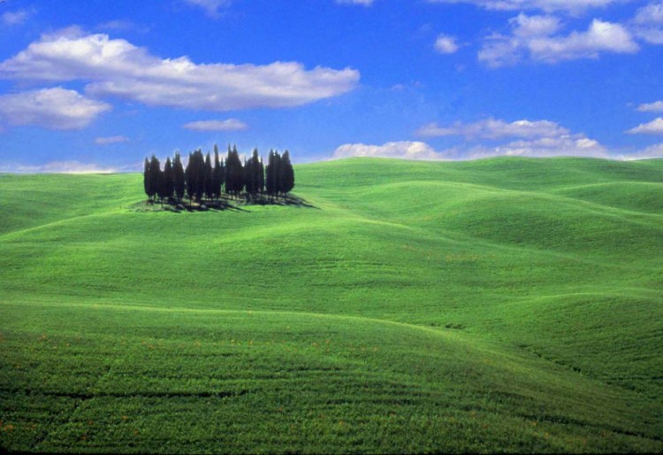 © Archie Reyes, Toscana, Tuscany, Italy