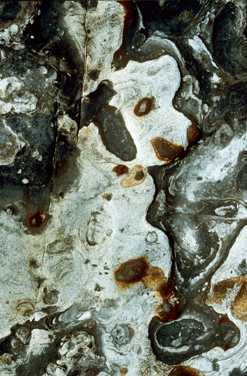 © Robert Smith, Pet Rock, Point Lobos, California