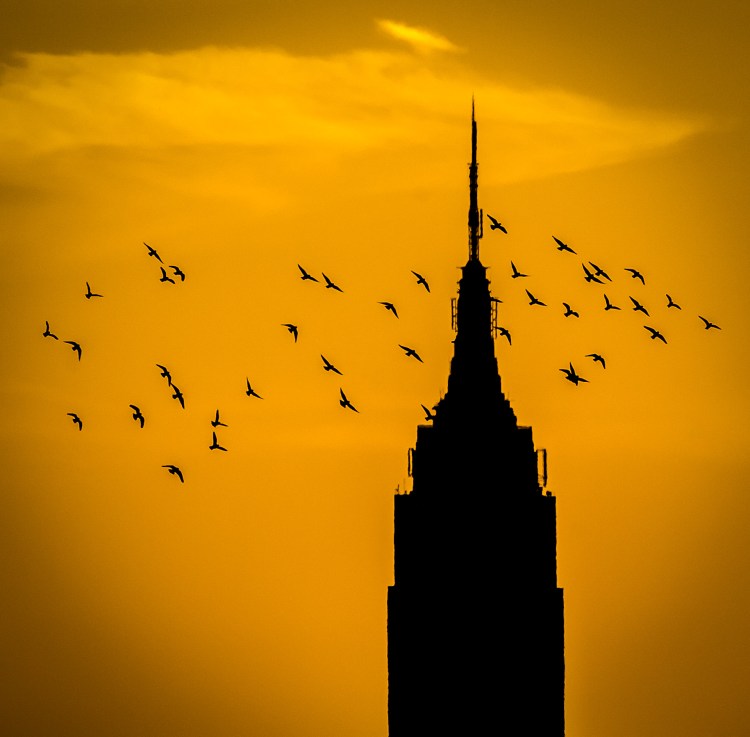 © Jay Tanen, Looking Back at the City, New York City