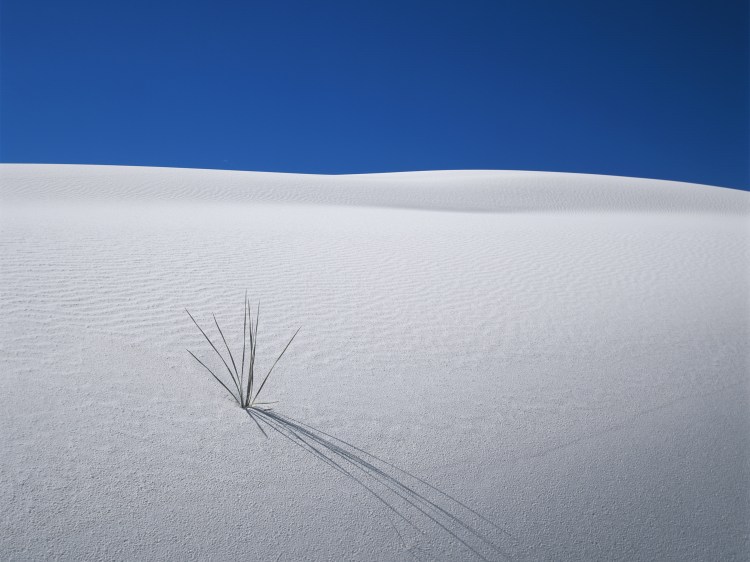 White Sands 1102-02 © Carlos L Esguerra