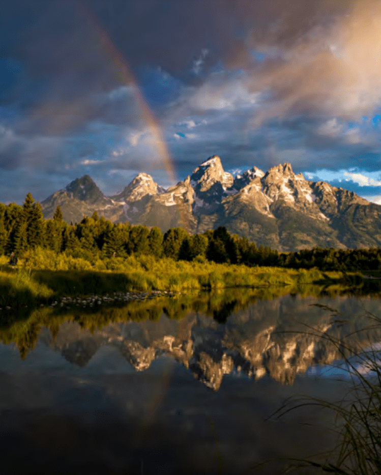 ©Jennifer Leigh Warner