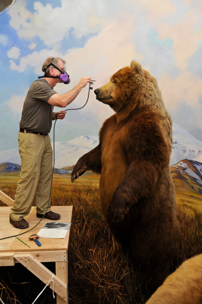 Stephen Quinn, wearing respirator, airbrushing Alaska Brown Bear © Denis Finnin