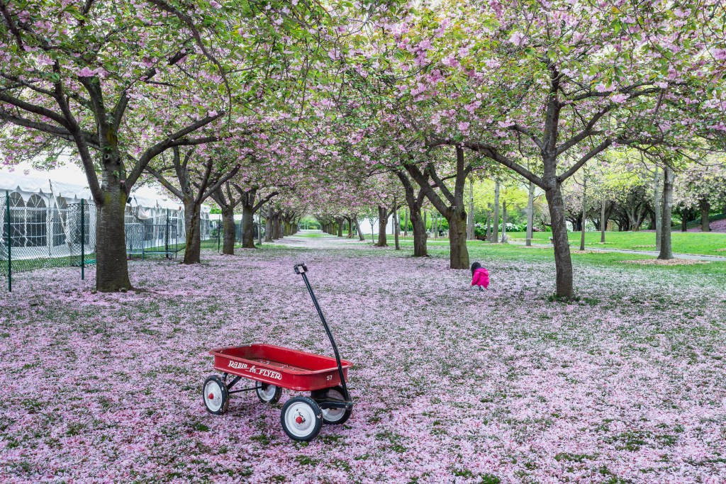 © David Francis - Radio Flyer