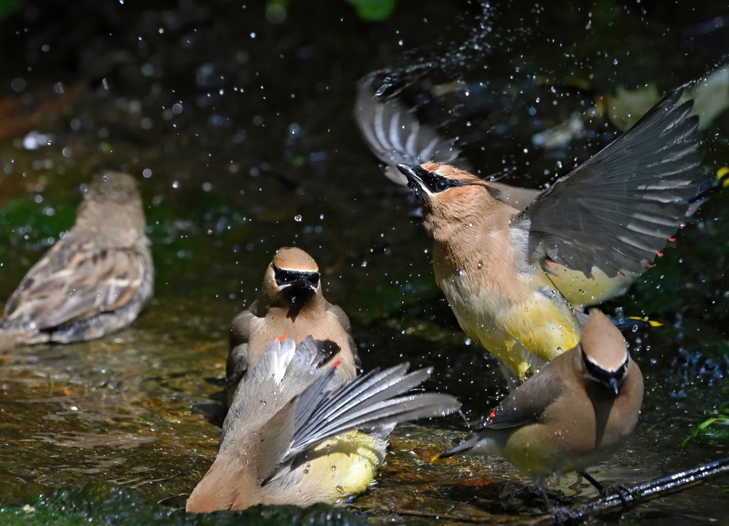 © George Courtney - Air Dry