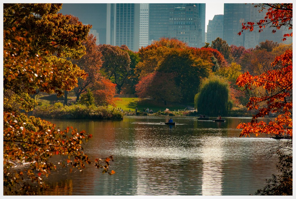 © Harvey Kopel - Central Park Lake in the Fall