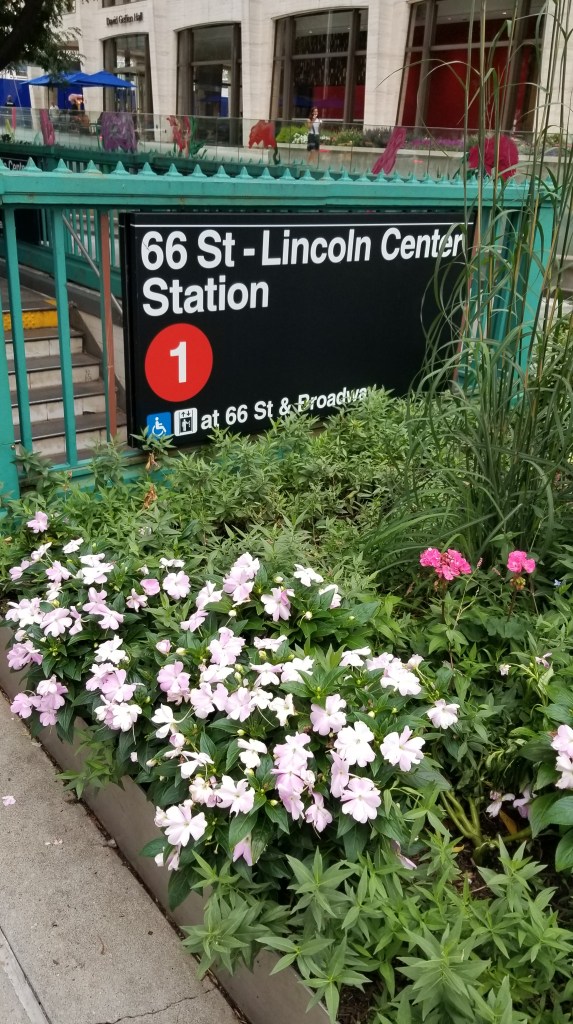 © James Ralph - Flowers are #1