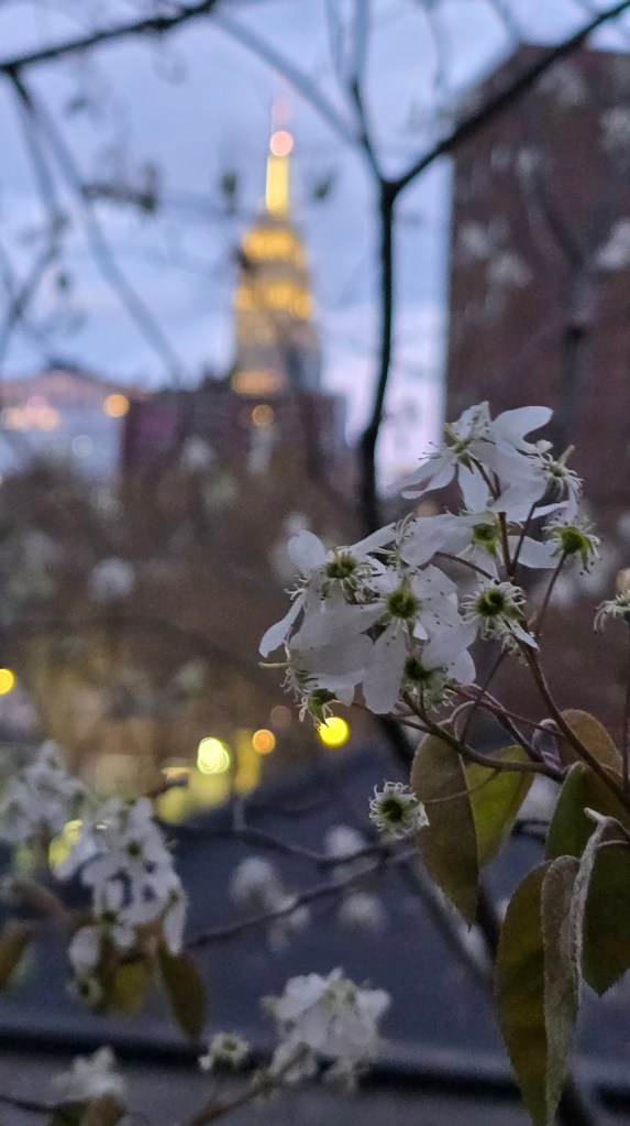 © James Ralph - Spring View From the High Line