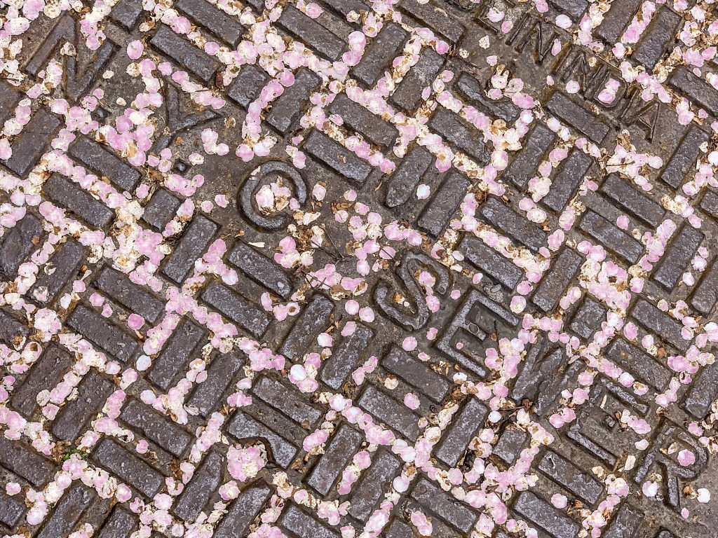 © Linda Calvet - Petals to the Metal