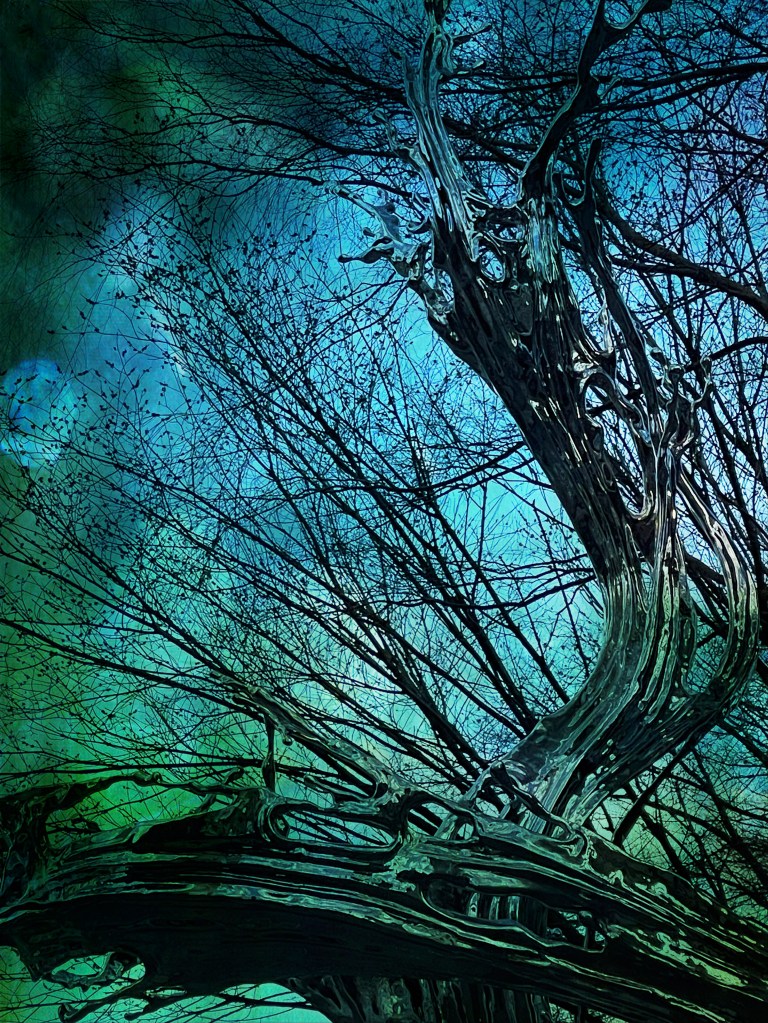 © Margit Zsedely - Bend