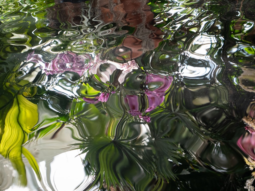 © Margit Zsedely - Unite