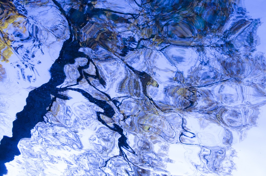 © Pat Garberini - Blue Tree Dream