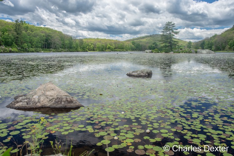 Harriman Bear Mtn © Charles Dexter