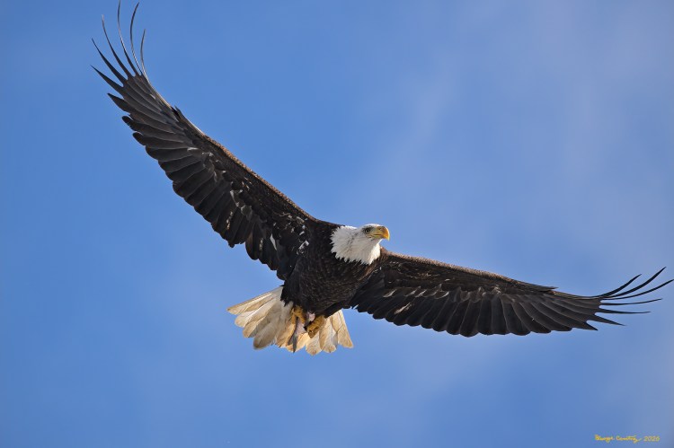 Untitled © George Courtney