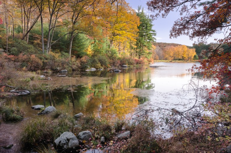 Harriman State Park © Charles Dexter